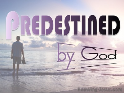 Predestined by God